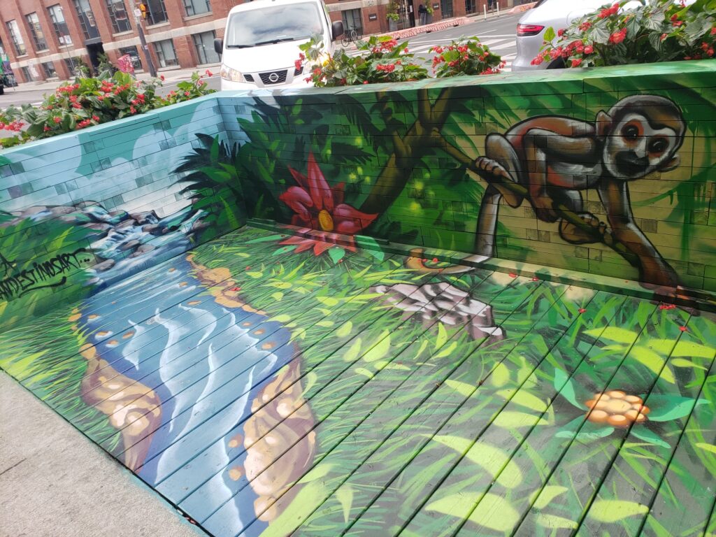 Selva 2022 2