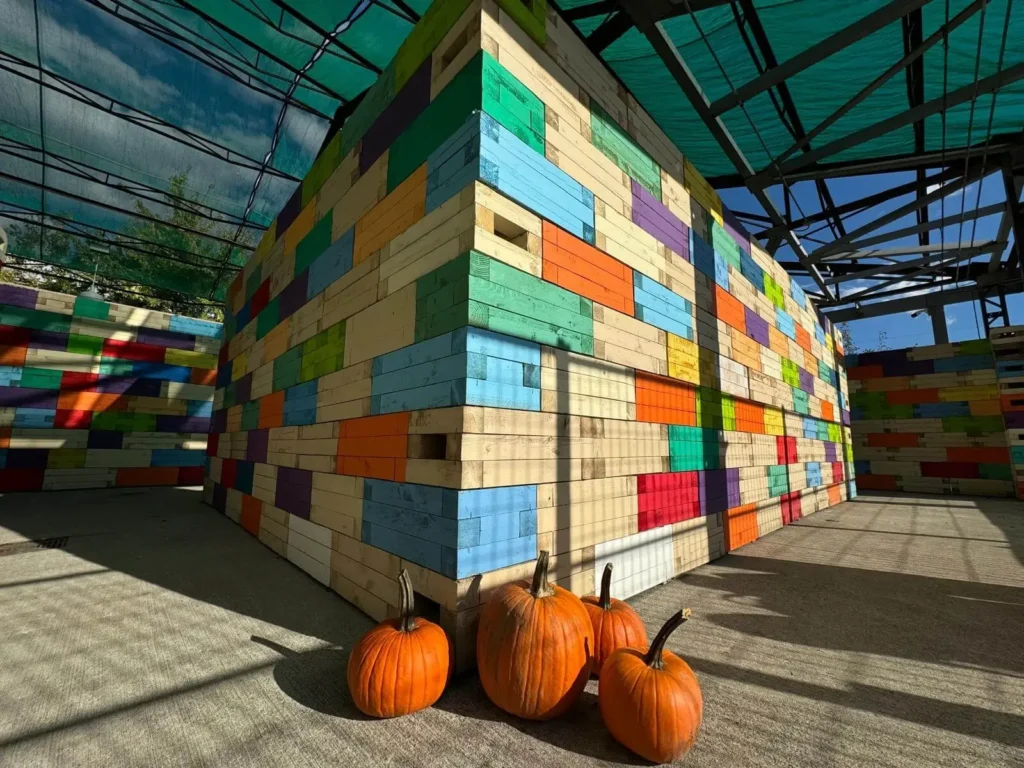 custom fall maze